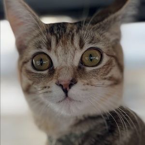 Meet your Posher, Jamie